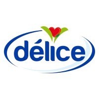 Accueil delice holding logo